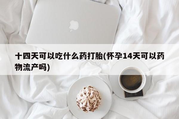 网上卖打胎药的微信号十四天可以吃什么药打胎(怀孕14天可以药物流产吗)